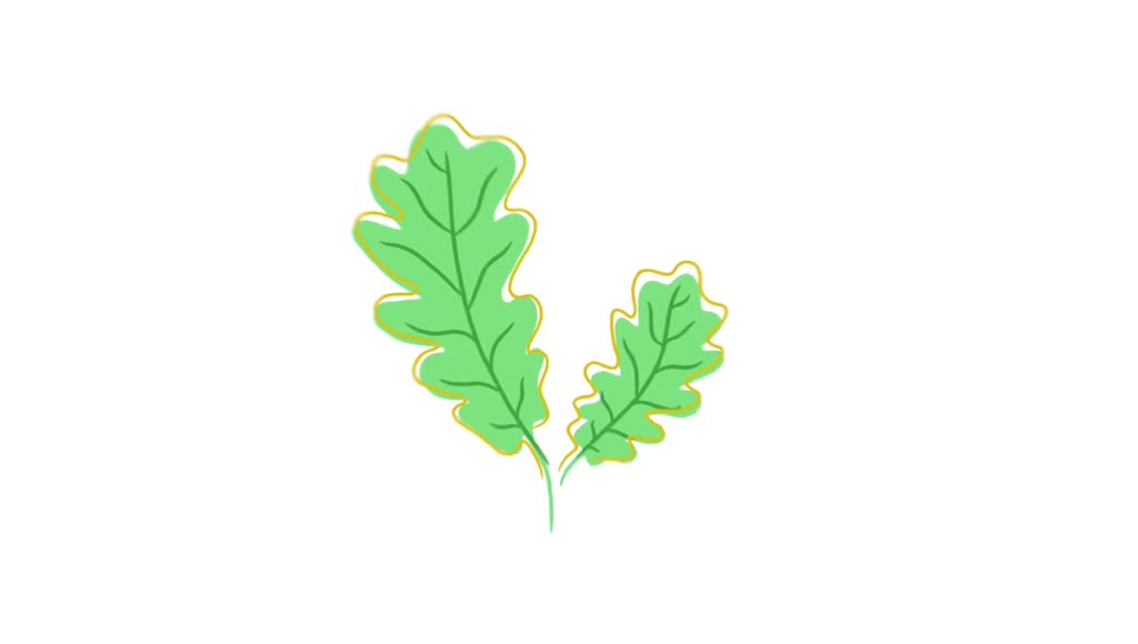 Animation Logo